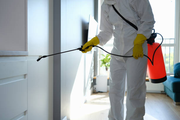 Best Home Mold Removal  in Carnegie, PA