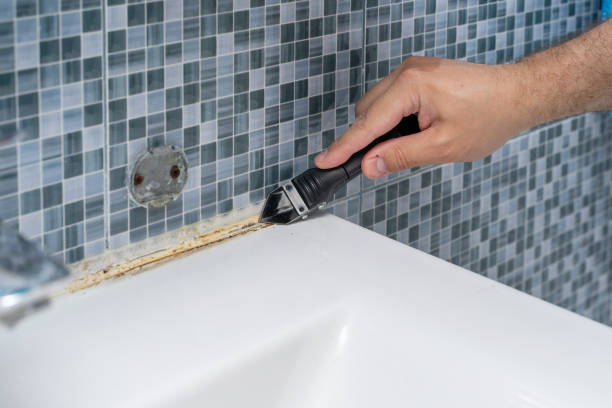 Best Mold Remediation Experts  in Carnegie, PA