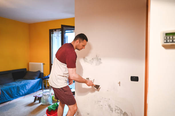 Best Mold Testing and Removal  in Carnegie, PA