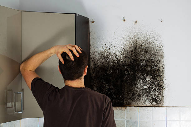 Best Residential Mold Removal  in Carnegie, PA